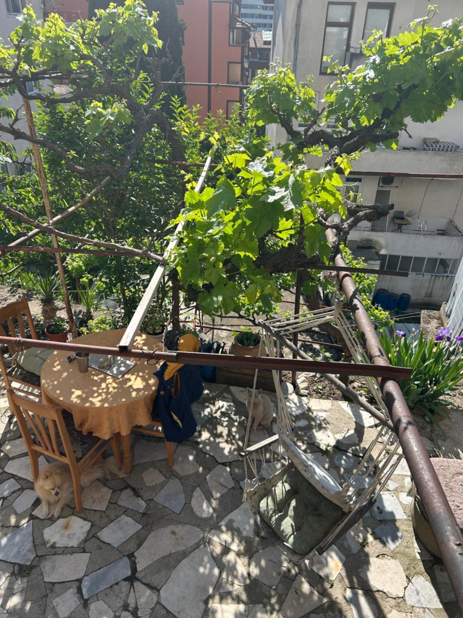 Didi House Daire Sandanski Dış mekan fotoğraf